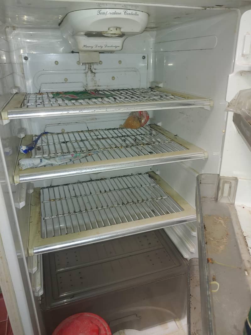 Freezer 4