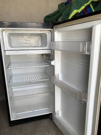 PEL Glass Door Refrigerator