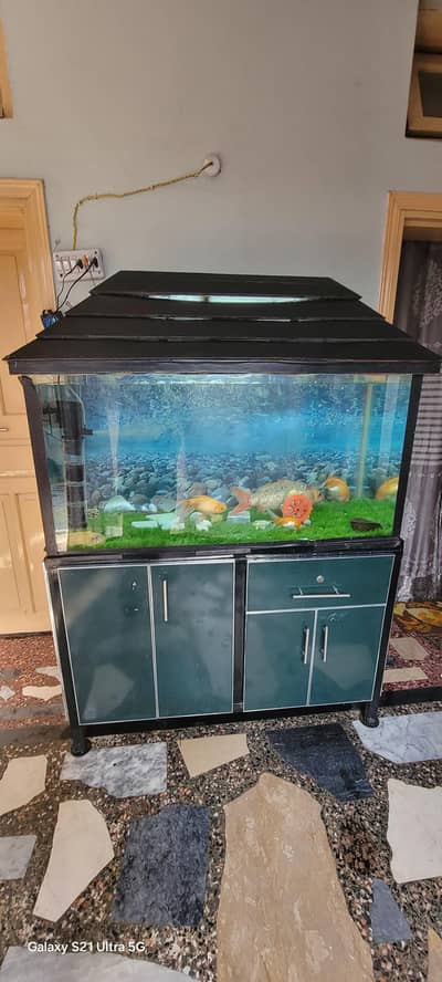 Aquarium + Gold Fishes with all accessories