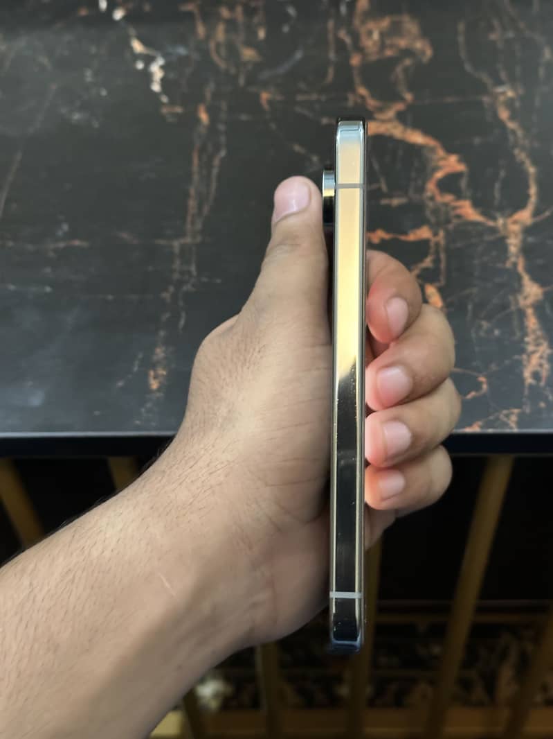 Google Pixel 9 Pro 1