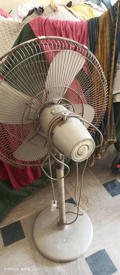 Pedestal Fan 24 Class