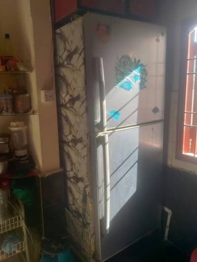 Pel Refrigerator full size