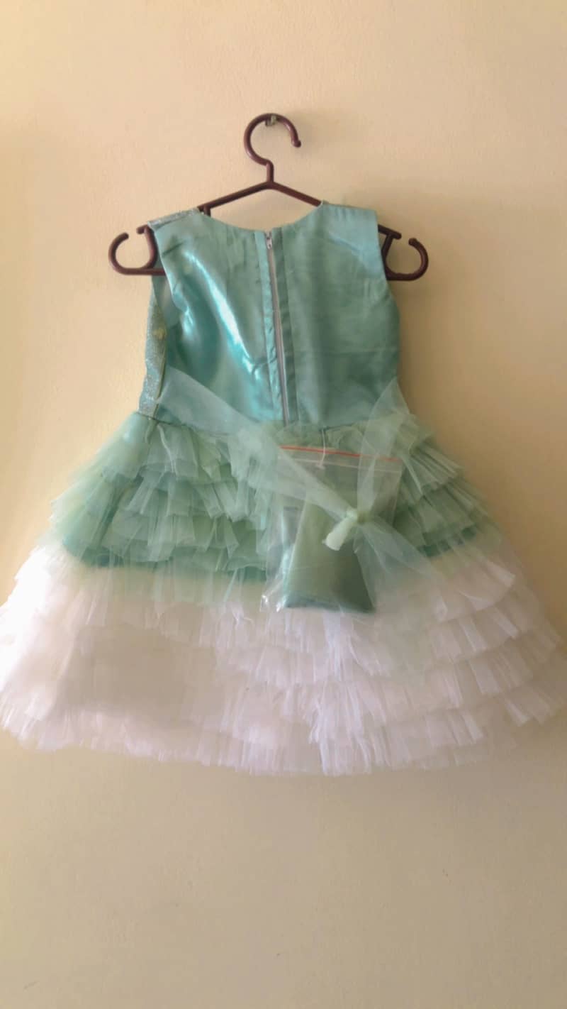Fancy frocks 3