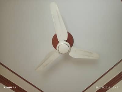 Ceiling Fan for Sale – Excellent Condition | Like New
