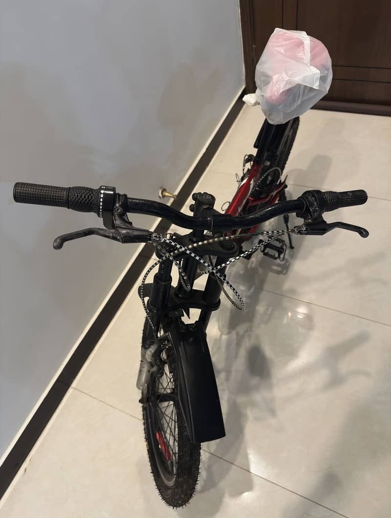 Cycle 2