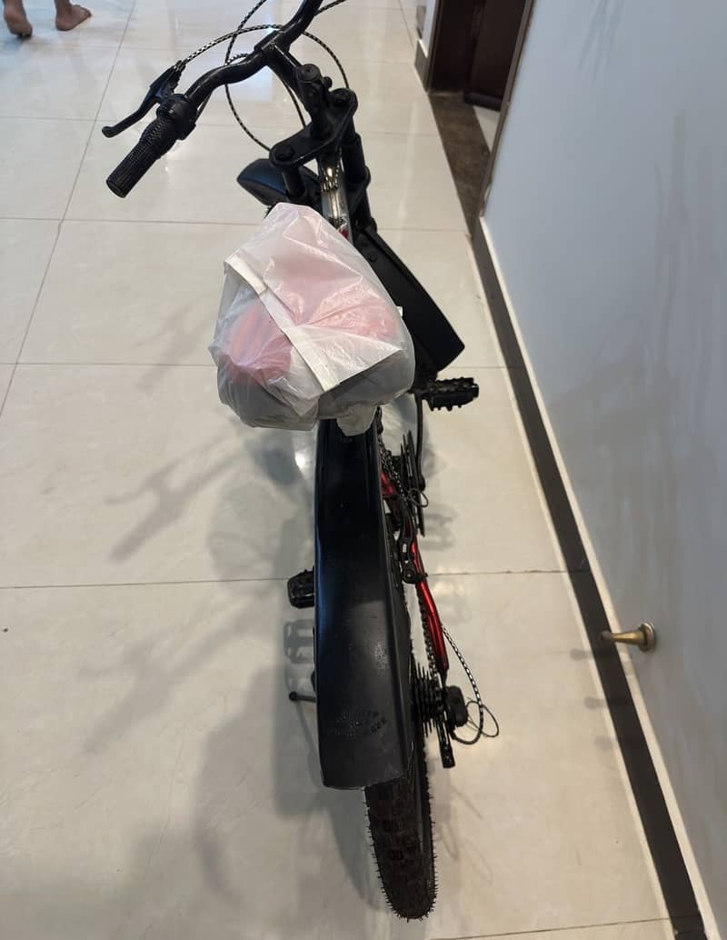 Cycle 3