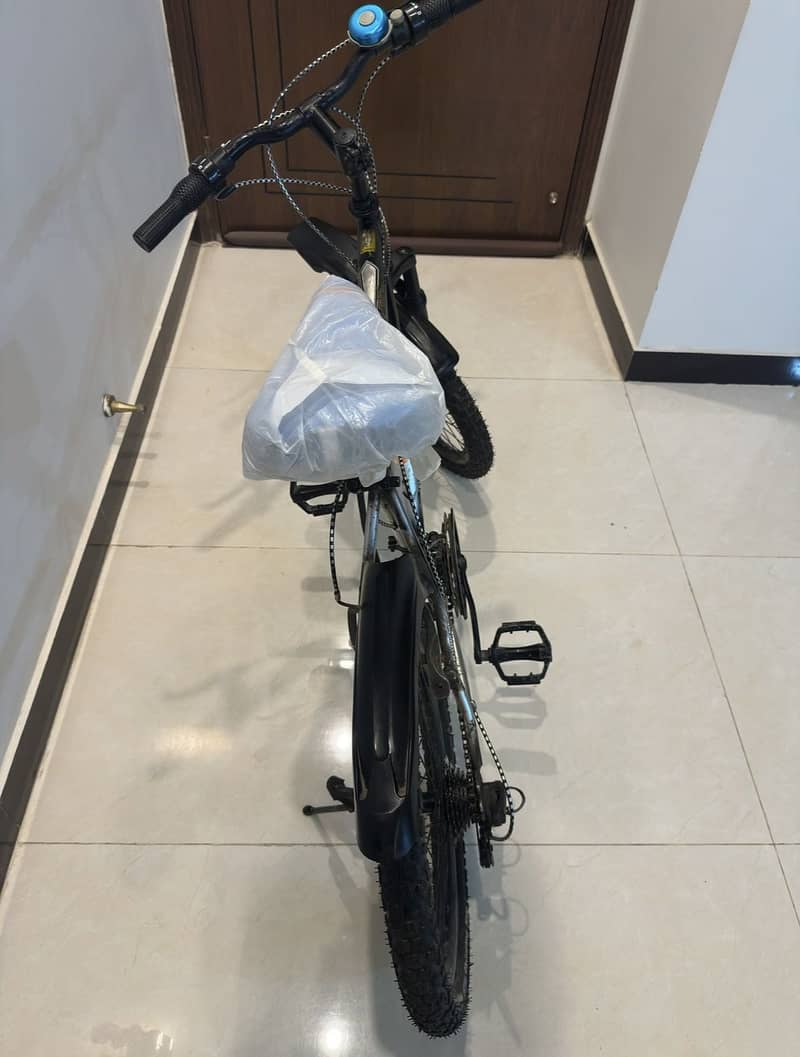 Continental Bicycle 2