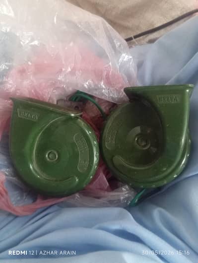 Bick horns