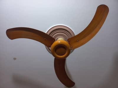 Arak fan
