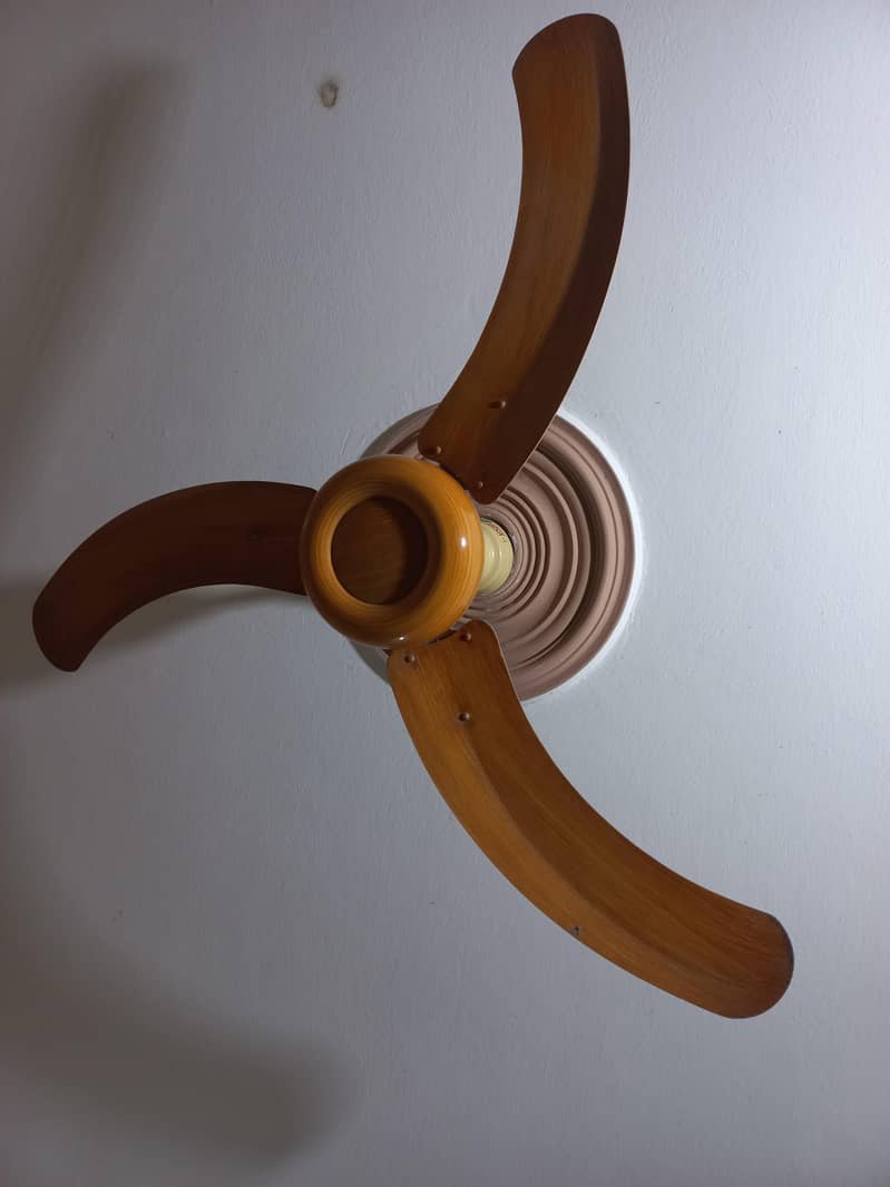 Arak fan 1