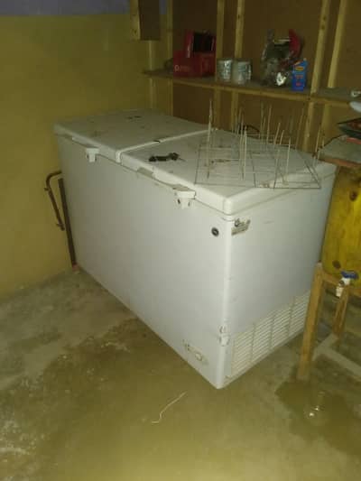 pel deep freezer double door
