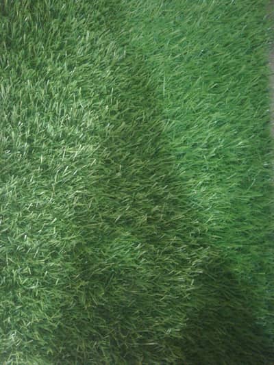 #Green mat #green grass#premium