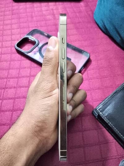 iPhone 12 Pro Max 256 GB JV