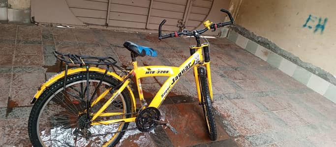 by cycle
