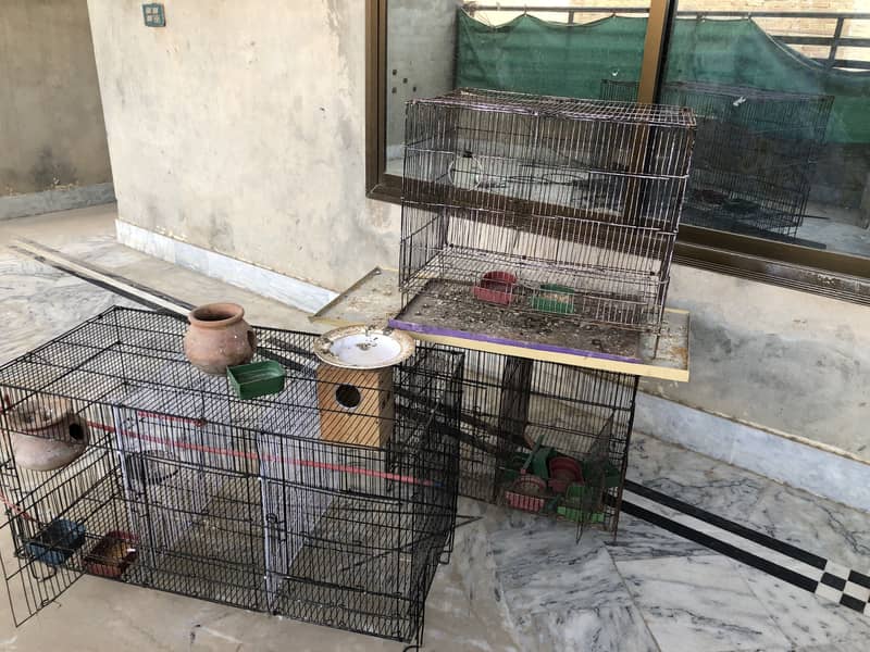 Cages 0