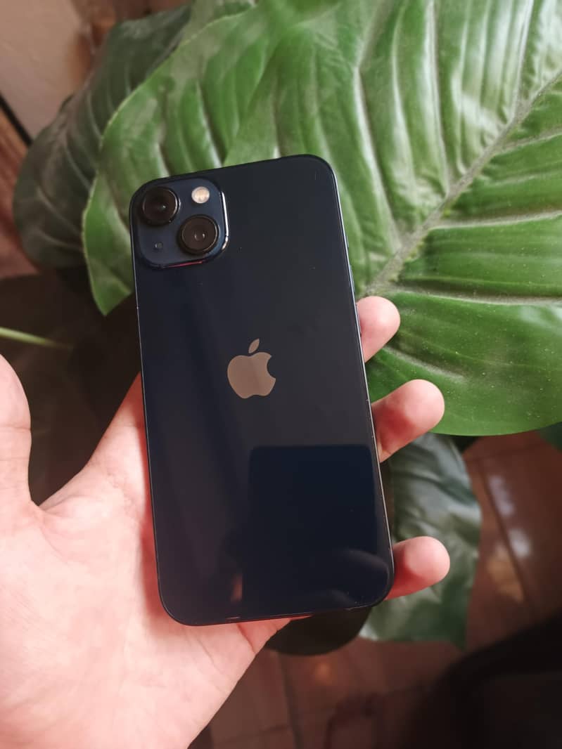 Apple iPhone 13 0