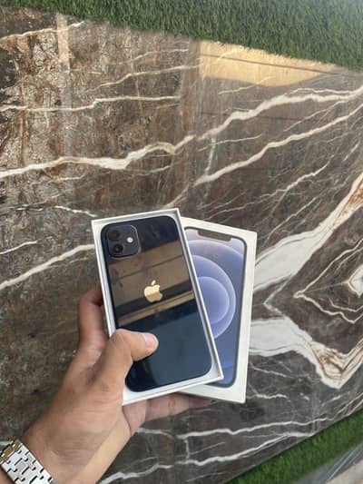 Apple iPhone 12 Factory Unlock Non pta