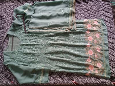 Embroidered chiffon dress (Large size)