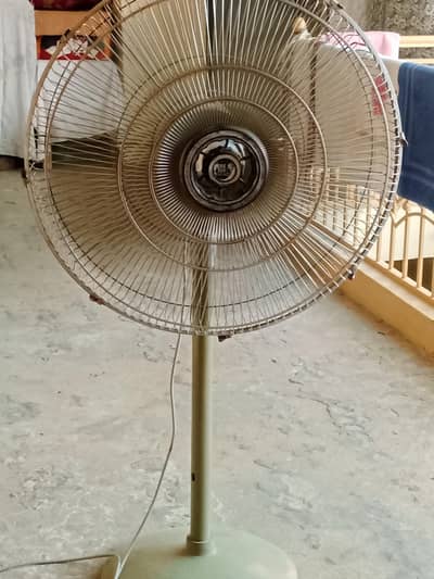 pedistal fans