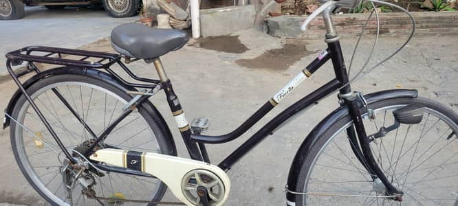 importanted cycle came from UK gaire cycle
