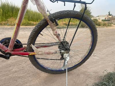 Gear bicycle
