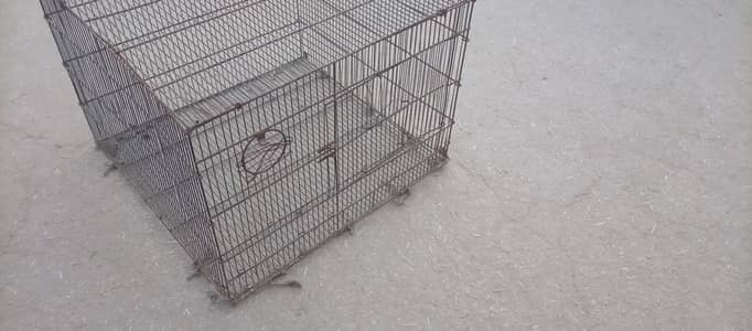 bird cage for sale