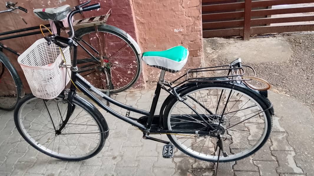 chaina bey cycle 0