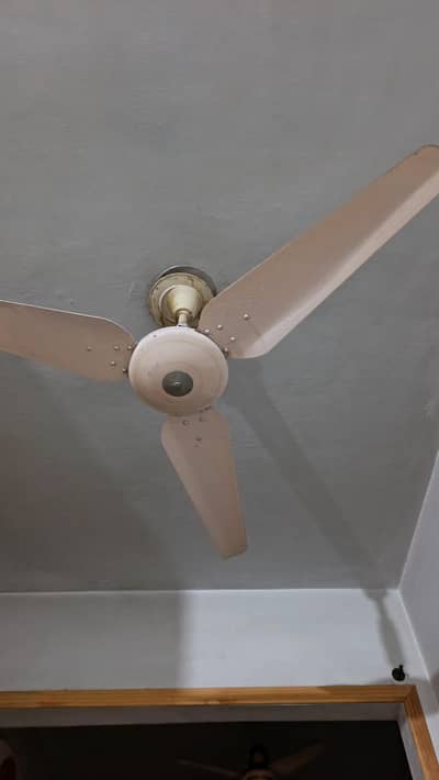 Pure Copper selling Fans
