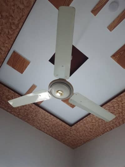 celling fan