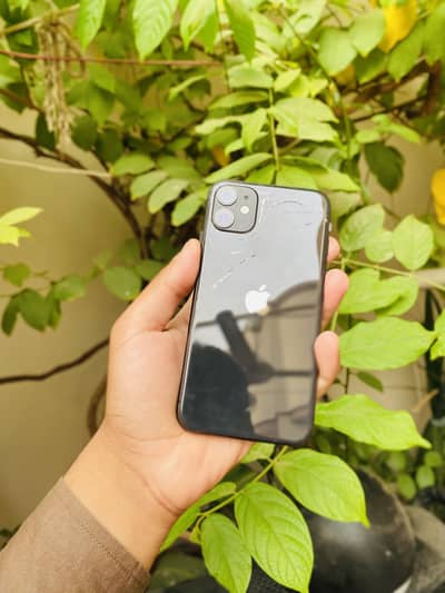 iPhone 11