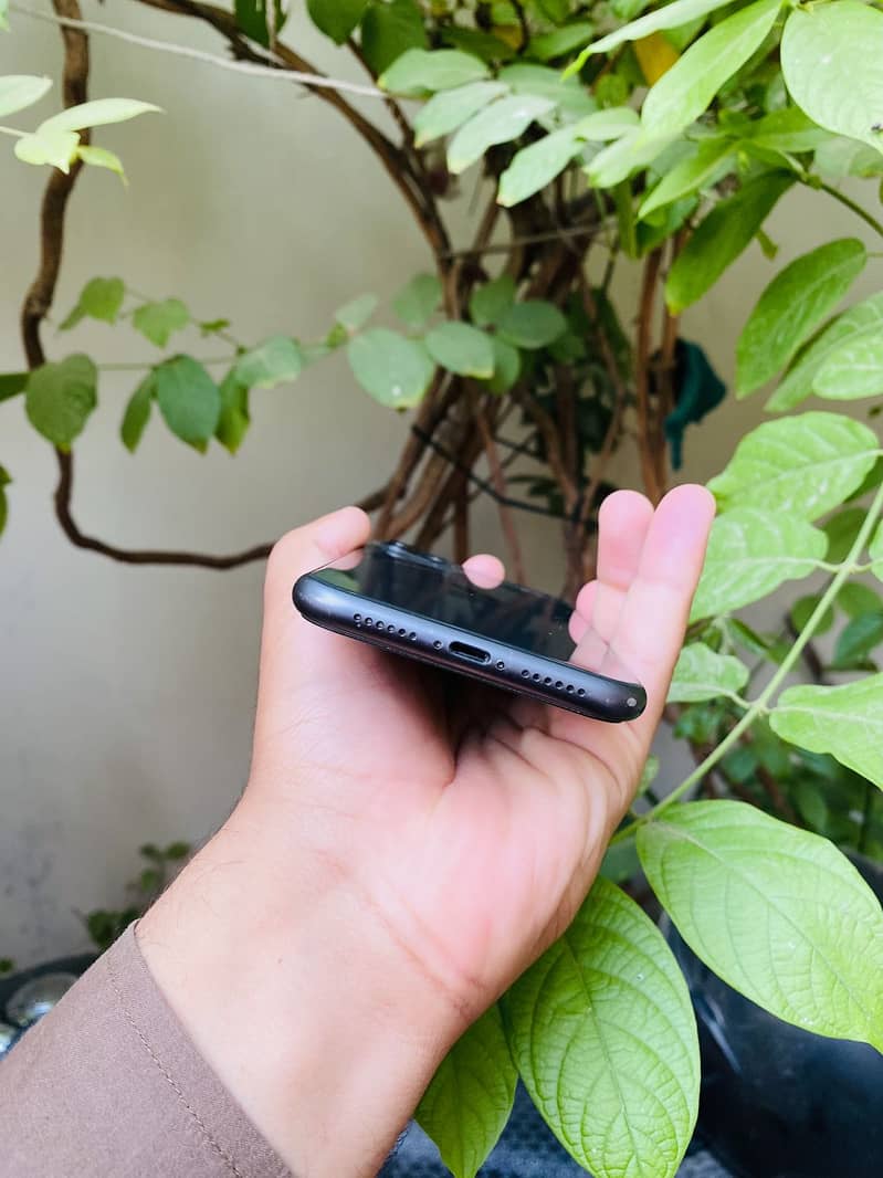 iPhone 11 4
