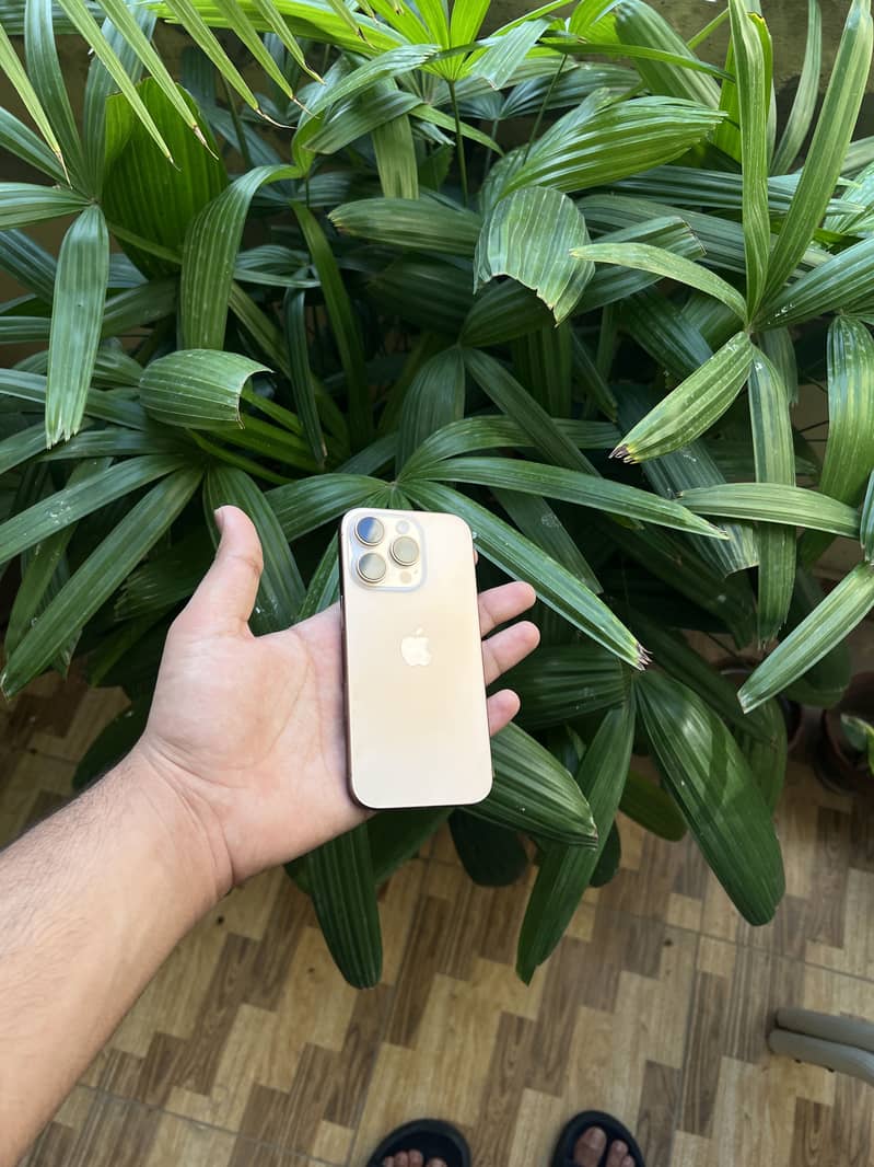 IPHONE 16 PRO JV 4