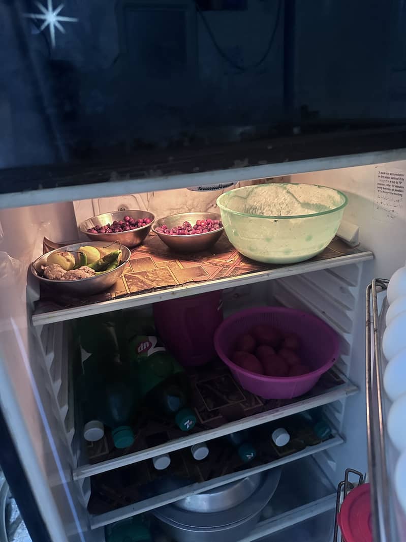 Waves Refrigerator 2