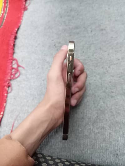 Apple iPhone XR convert into 13 pro