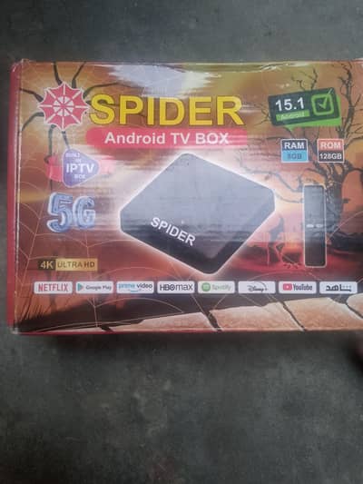 spider