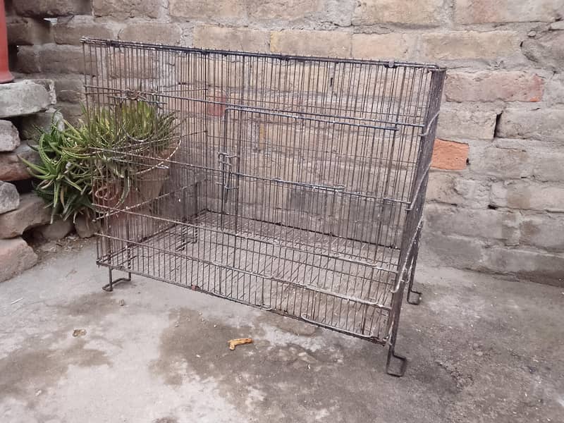 Cages 1