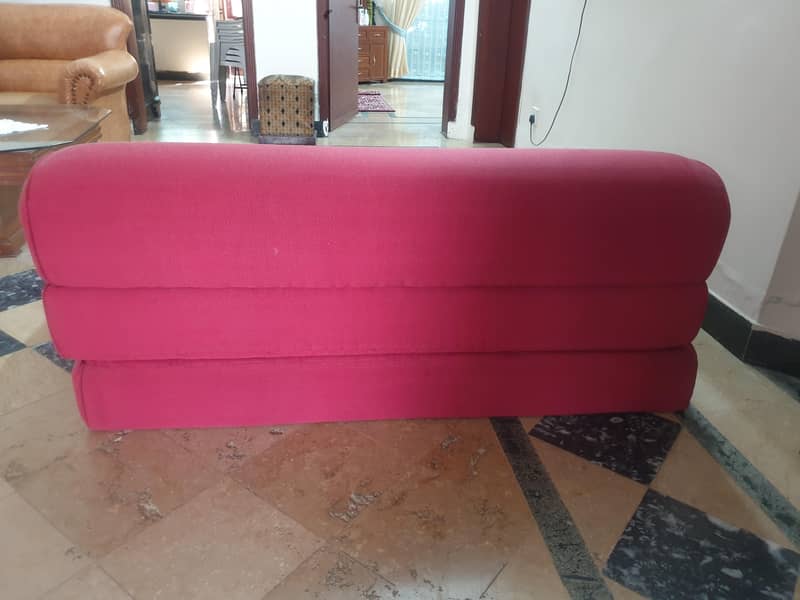 SofaCum bed 2