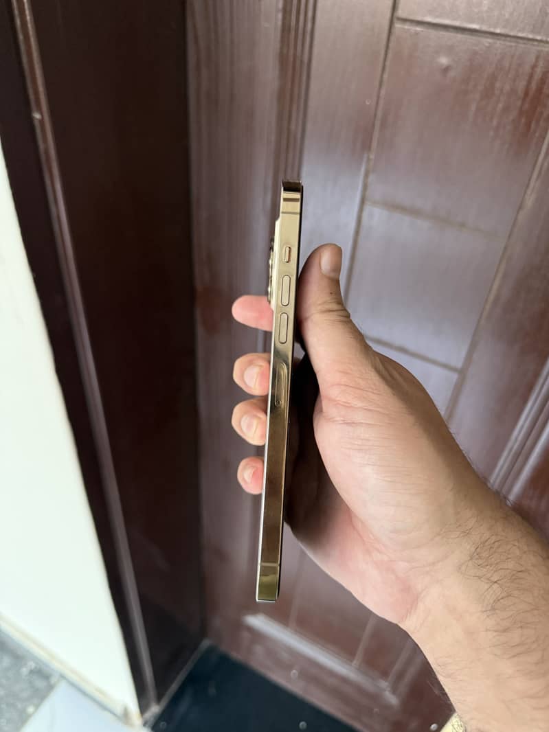 Apple iPhone 13 Pro Max 1