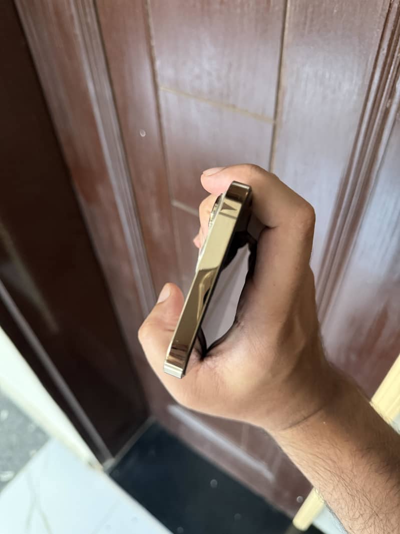 Apple iPhone 13 Pro Max 2