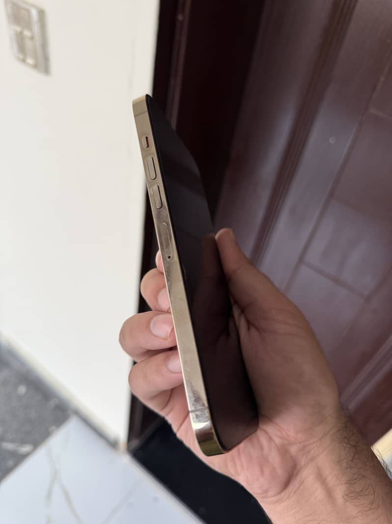 Apple iPhone 13 Pro Max 4