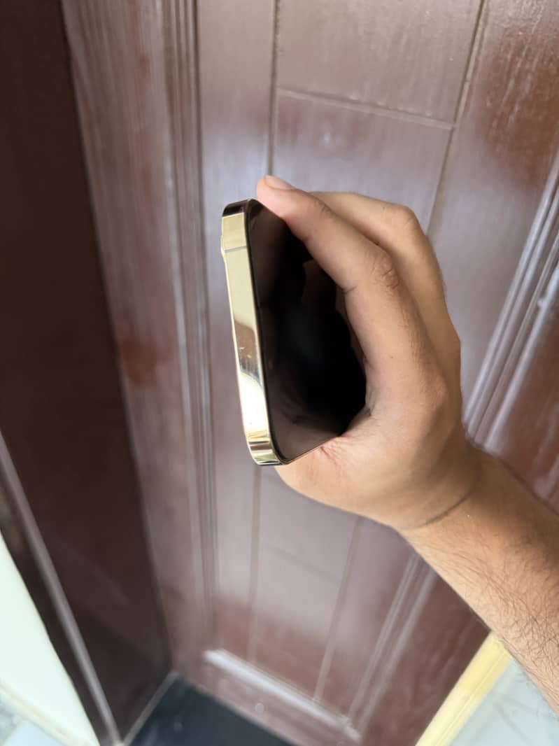 Apple iPhone 13 Pro Max 5