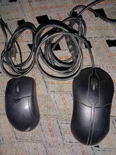 Mouse for computer