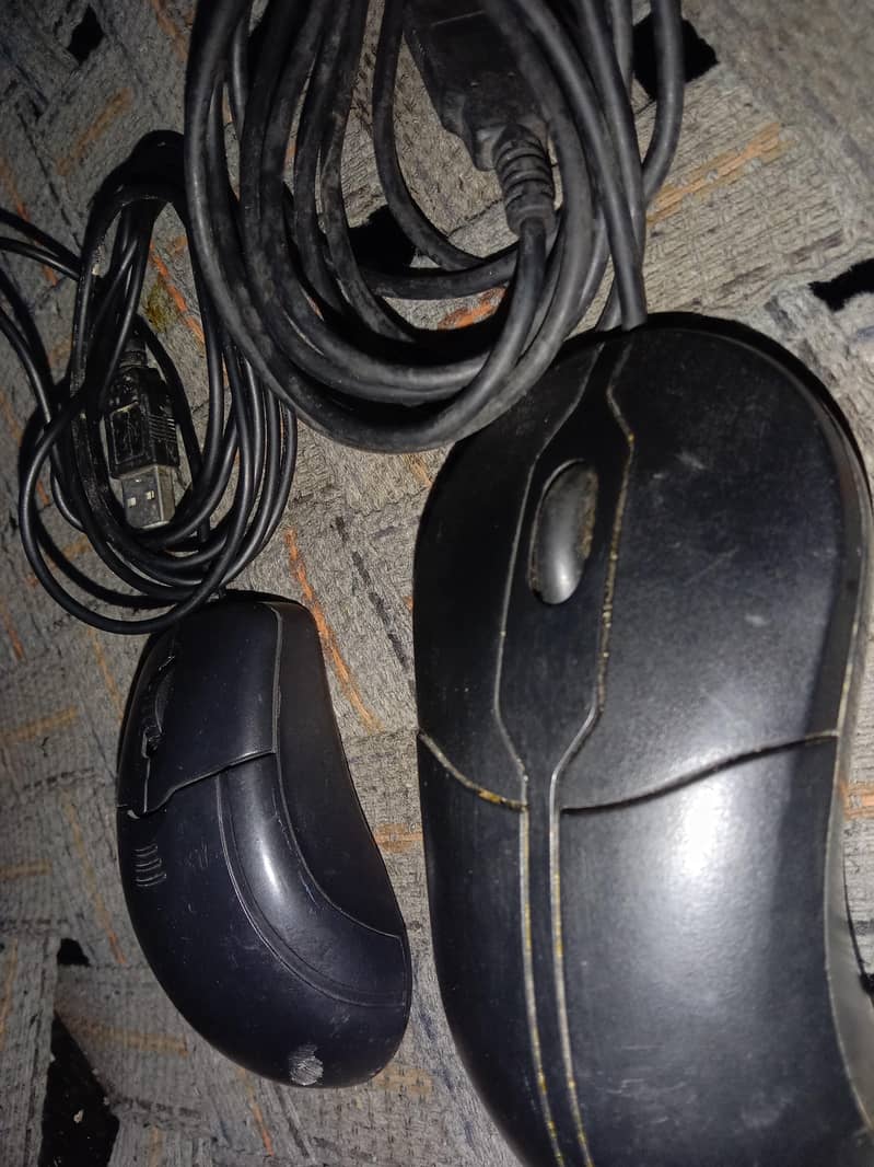 Mouse for computer 1
