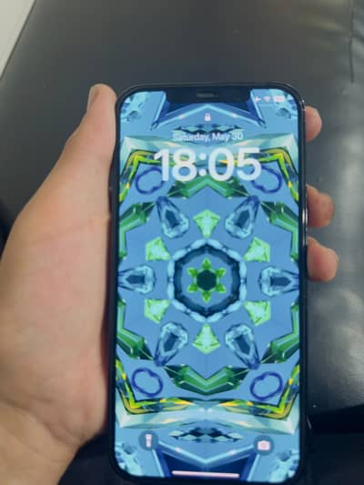 Apple iPhone 12 Pro Max