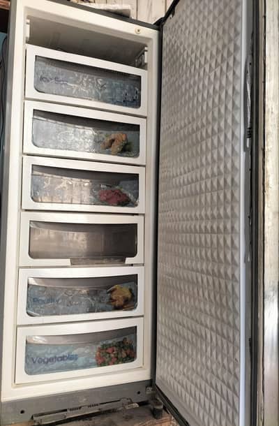 Dawlance Freezer