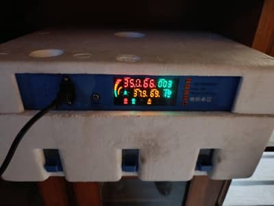 64 eggs inqubter for sale 90 percent reselt