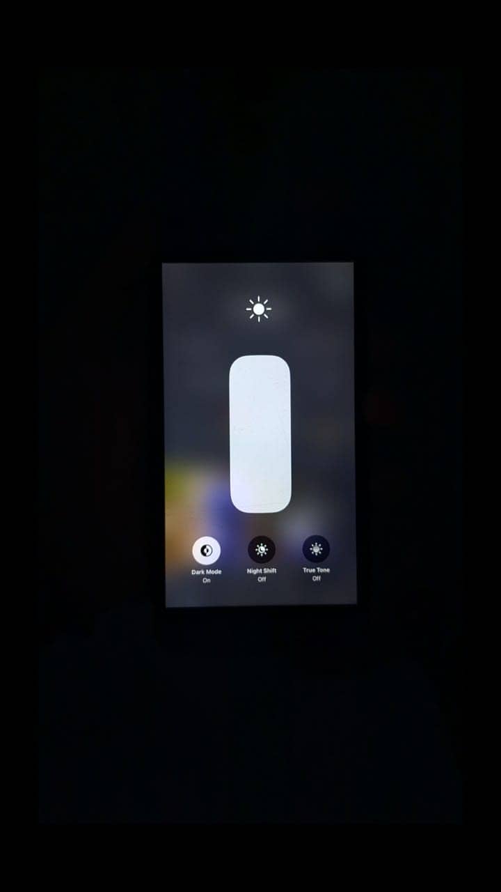 Apple iPhone 8 Plus 6