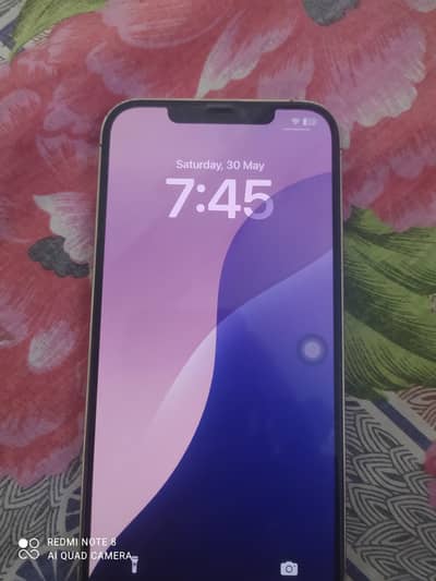 Apple iPhone 12 Pro Max