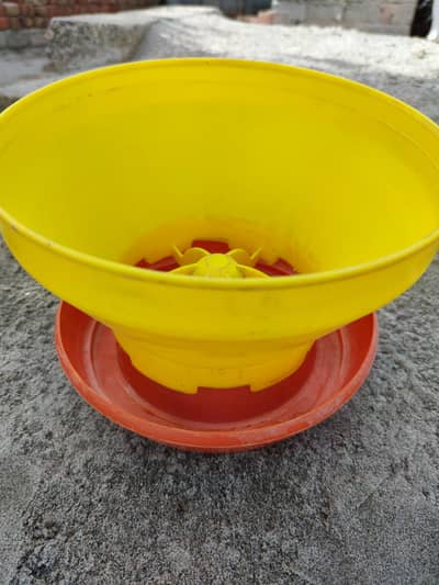 Feeder and drinker