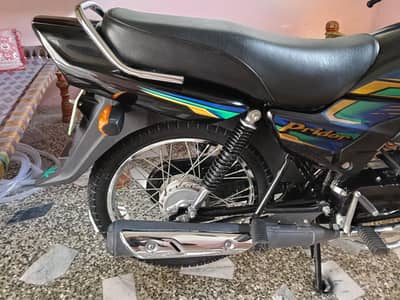 pridor lover ke liyey gift hai 100